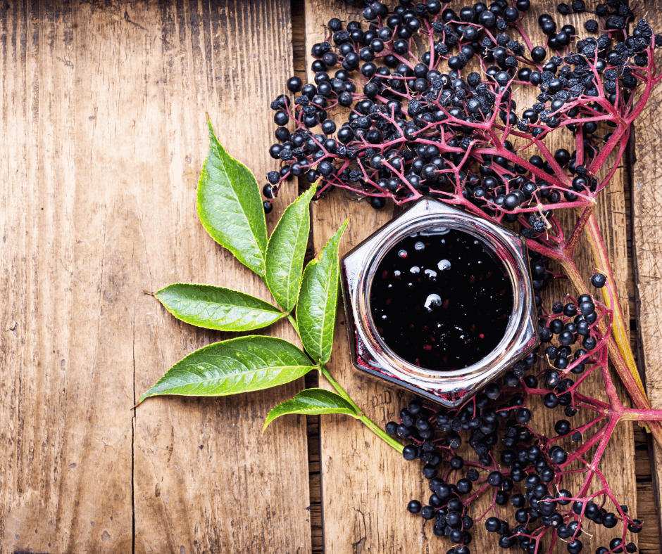 Benefits of elderberry syrup