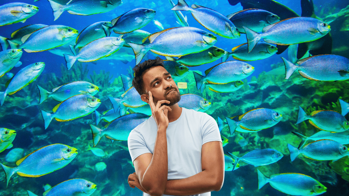 Does Fish Really Have Any Omega-3?