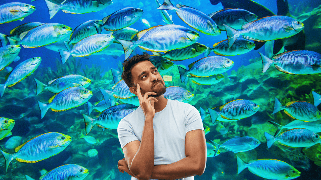 Does Fish Really Have Any Omega-3?