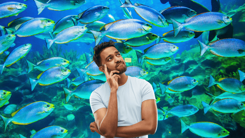 Does Fish Really Have Any Omega-3?