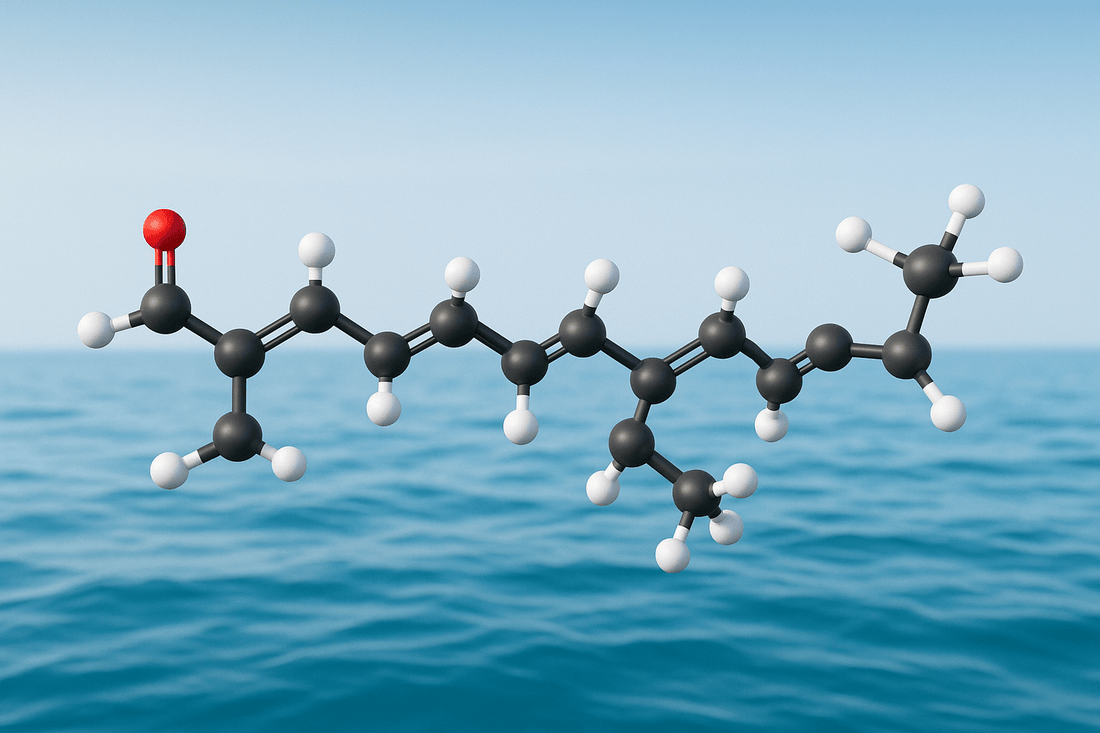What Does an Omega-3 Molecule Actually Look Like