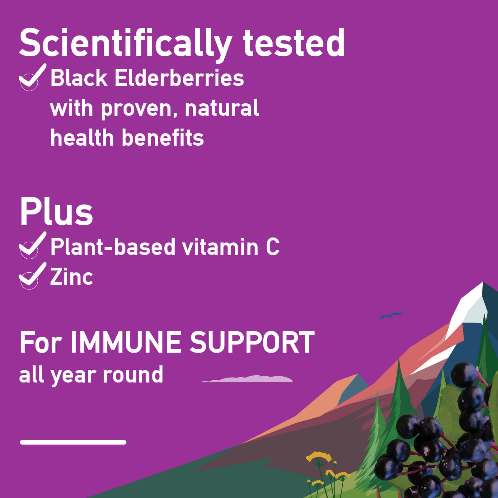 Immune support vitamin c and zinc