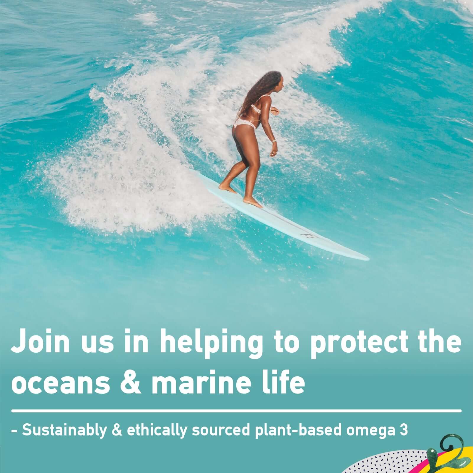 Sustainably sourced algae omega 3. Ethical alternative to fish oil. APOKRA