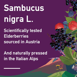 APOKRA Sambucus nigra, high quality elderberry extract
